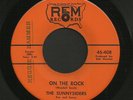Kentucky Bluegrass Prison 45   Sunnysiders   REM   Hear