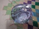METALLICA CREEPING DEATH PICTURE DISC ORIGINAL PRESSING..