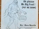 Rex North -Oh Please Mr. Big Foot- Country Novelty 45 - Big Foot Sasquatch -Hear