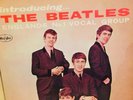 THE BEATLES LP  Introducing Vee Jay STEREO Love Me Do P.S. I Love You RARE