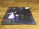 WOLF ALICE DOUBLE VINYL ALBUM VISIONS OF A LIFE