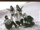 DEER TICK: WAR ELEPHANT (LTD) (DLCD) (LP vinyl *BRAND NEW*)