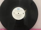 RATM Rage Against the Machine Vinyl - Evil Empire