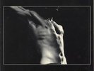 Hard Volume Rollins Band USA vinyl LP album record TEX.18 WORLD SERVICE 1989