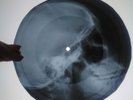 Elvis Presley All Shook Up X-RAY USSR ROENTGEN Bones Record