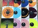 Artifical Selection Pre order Variants + VIP (all 10)
