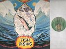    Steve Hillage - Fish Rising   