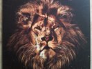 John Butler Trio April Uprising 2 LP´s TOP für Vinyl - Sammler