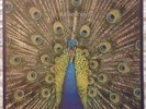 THE BLUETONES-EXPECTING TO FLY-1996 FIRST PRESSING LP-N/MINT-OASIS-PAUL WELLER