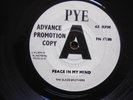 The Slade Brothers - Peace in my Mind - 1966 UK Promo