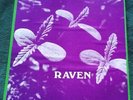 Raven - Back to Ohio Blues LP Rockadelic/1995 private press psych acid archives