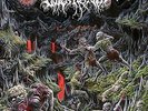 OUTER HEAVEN-REALMS OF ETERNAL DECAY VINYL LP NEW