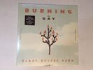 Randy Rogers Band, Burning The Day Lp