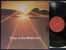 WILLARD F. JABUSCH Enter in the Wilderness LP 1977 PRIVATE FUNK Soul Rare *Hear
