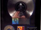 Guns N Roses Use your Illusion I Platinum RIAA Award goldene Schallplatte