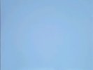 THE BEATLES WHITE ALBUM NEW DOUBLE VINYL LP