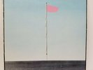 Wire pink flag 1977 shsp 4076
