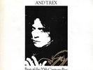 Marc Bolan And T. Rex - Best Of The 20th Century Vinyl Schallplatte - 148581