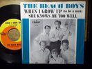 THE BEACH BOYS 