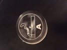 Smokers Inc Volume One The No Smoking Selection 3x12