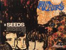 The Seeds - Future NEW SEALED LP Their Psychedelic masterpiece
