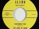 Sons Of Adam 