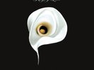Kings Of Leon ?– The Bucket 10