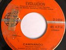 EVOLUCION - Caminando - PSYCH FUNK MOOG EL SALVADOR 45