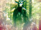 Black Mountain Transmitter Black Goat Of The Woods Vinyl LP Aurora Borealis New