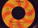 Big Jim Sullivan ?– Sunshine Superman / Translove Airways (Fat Angel). 7