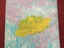 Lightning Bolt Ride The Skies LP Handmade Sleeve Posters Photo LOAD Colored Wax