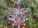 Spidergawd - V (180 Gr./Black Vinyl+CD) Vinyl LP (2) CRISPIN GLOVER RECORDS NEW