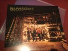 Blossoms Debut Album Limited Numbered Signed By All The Band LP Vinyl Record