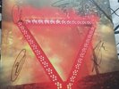 Enter Shikari A Flash Flood Of Colour Vinyl BRAND NEW, HAND SIGNED