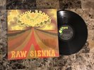 SAVOY BROWN RAW SIENNA BLUES HARD ROCK VINYL LP IN SHRINK NM-MINT