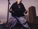 Fat Joe Da Gangsta - Represent '93 LP US ORG(Black Labels)  Showbiz