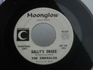 ZZ9 MOONGLOW 230 PROMO ROCK SOUL GARAGE THE EMERALDS SALLYS SNAKE OOH POO PAH