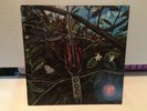 DRAGONFLY S/T INSANELY RARE ORIG '68 FUZZ GARAGE PSYCH NM SALE 1 DAY ONLY $300