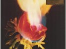 LP Adorable Against Perfection 180GR./INSERT/25TH ANN/1500 CPS FLAMING COLOURED