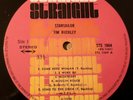 Tim Buckley LP Starsailor UK Straight 1st press WONDERFUL COPY
