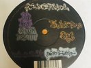 Seeds Of Evolution - Seeds Of Evolution 12” RARE 1998 PHILLY RANDOM RAP