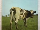 Pink Floyd Atom Heart Mother Original Vinyl Record 1970