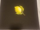 Beyonce How to Make Lemonade Limited Edition Box Set, Vinyl, Coffee Table Book