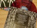 Goat Girl LP Violet Vinyl With Ltd Fanzine