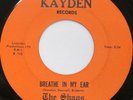THE SHAGS Breathe In My Ear bw Easy Street 45 RARE GARAGE KAYDEN 408 STOCK COPY