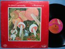 THE MUTUAL UNDERSTANDING IN WONDERLAND ORG 1969 LP CANADA SUNSHINE POP PSYCH