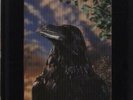 Stranglers vinyl LP album record The Raven - 3D Sleeve - EX UK UAG30262