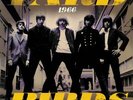 YARDBIRDS, The - 1966 - Vinyl (180 gram orange vinyl LP + insert)