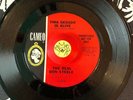 The REAL DON STEELE   Tina Degado is ALIVE / Hole, mod fuzz garage soul 45 Hear