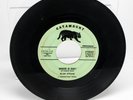 SUPER RARE NORTHERN SOUL BLUE STEAM WHERE IS SHE/I WANT A GIRL RECORD CATAMOUNT